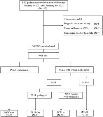 Outcomes of fertility preservation treatments in patients with endometrial cancer with different molecular classifications based on an NGS panel